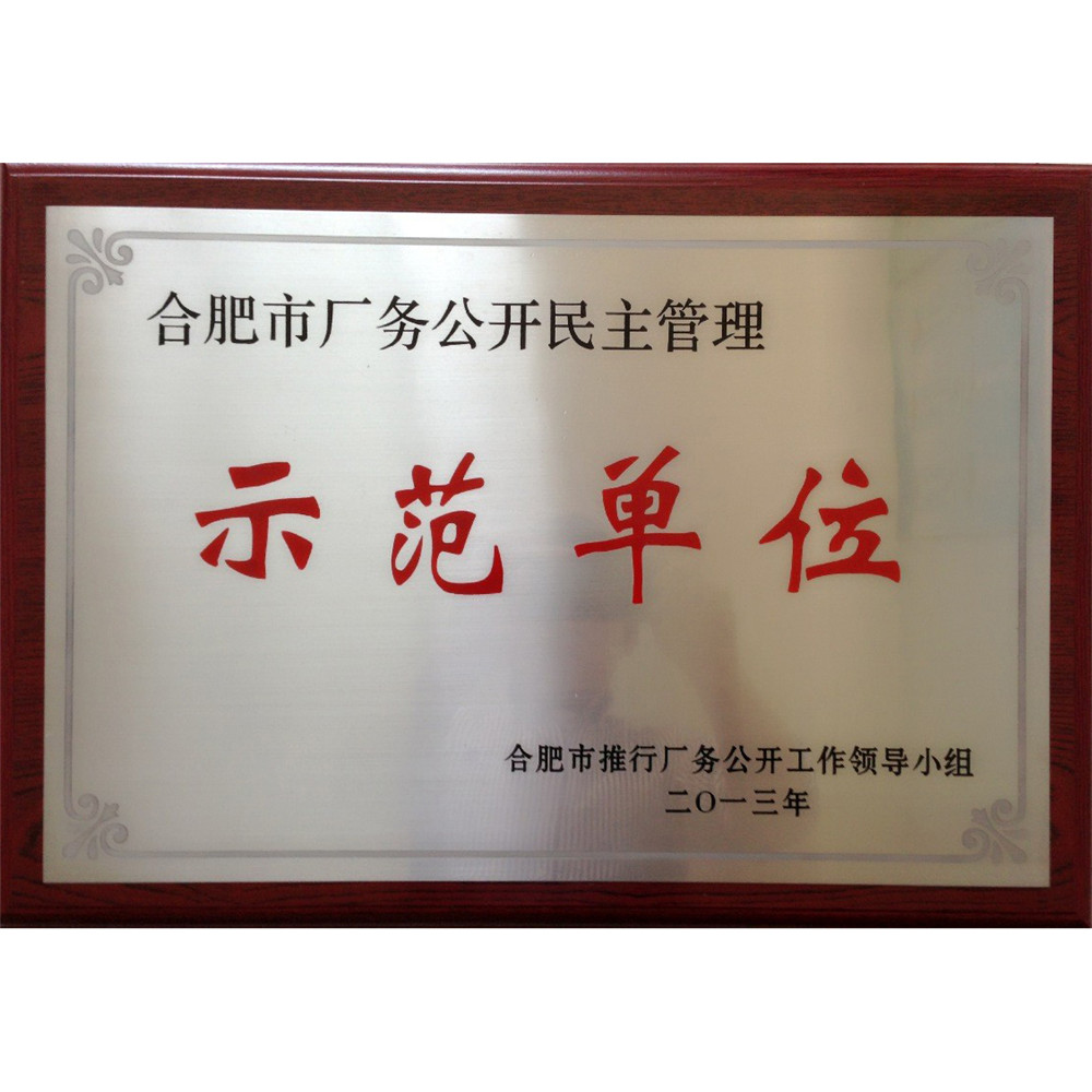 2013-合肥市產(chǎn)廠務(wù)公開明主管理示范單位